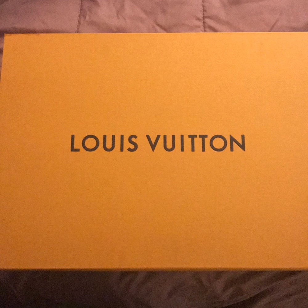 Louis Vuitton Bag